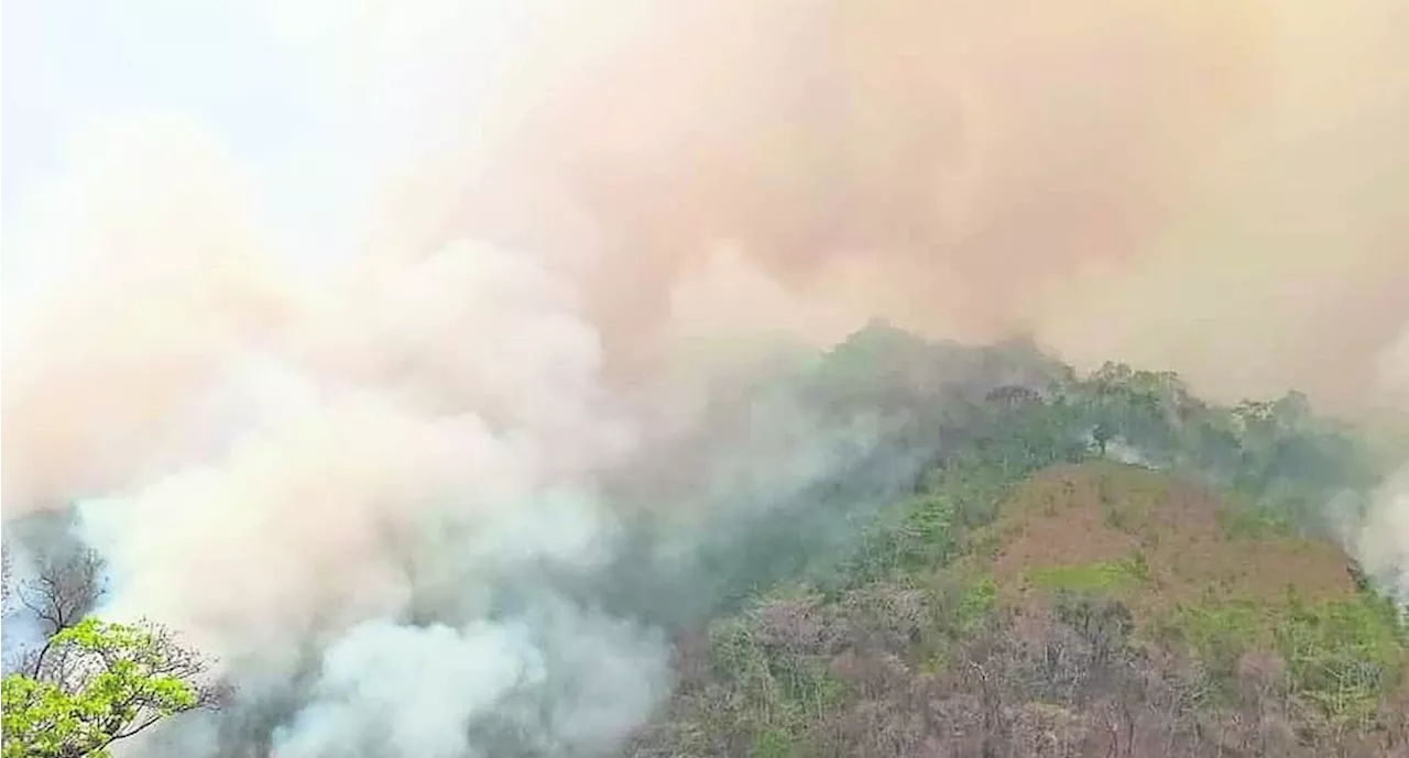 Piden ayuda a otros países para salvar bosques del fuego