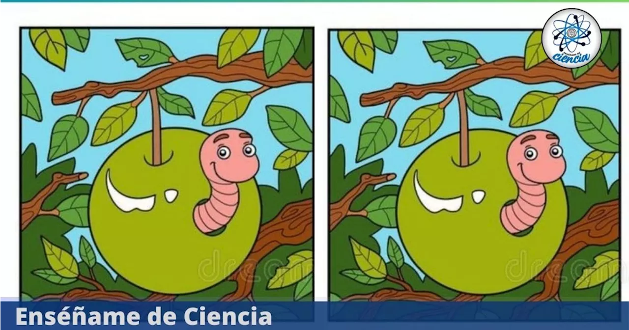 Acertijo visual: solo un genio puede encontrar las 5 diferencias en la imagen viral del GUSANO