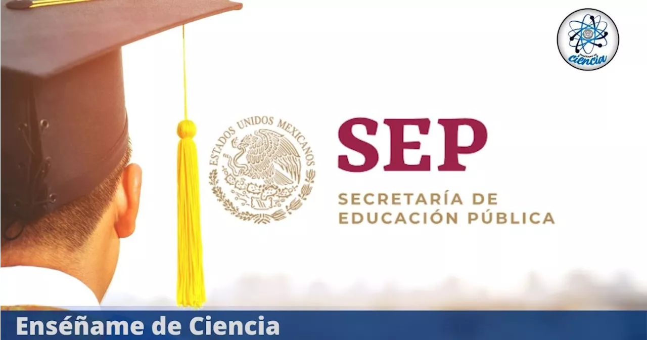 SEP: Conoce las carreras técnicas que puedes estudiar y sus requisitos