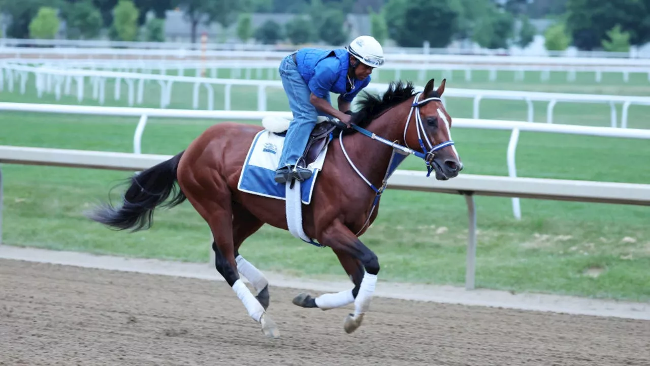 How to Watch the 2024 Belmont Stakes Online Today: Start Time, TV, Post Positions and Live Stream