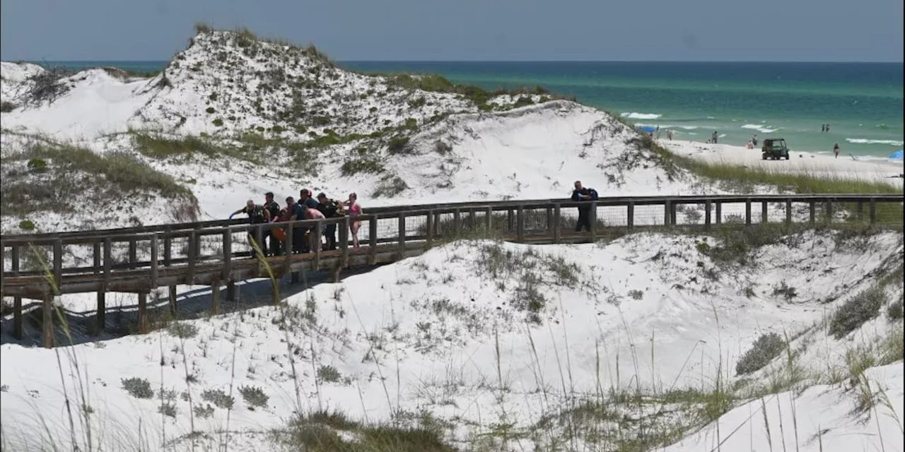 Two central Alabama girls injured in Friday shark attack in Walton County, Florida