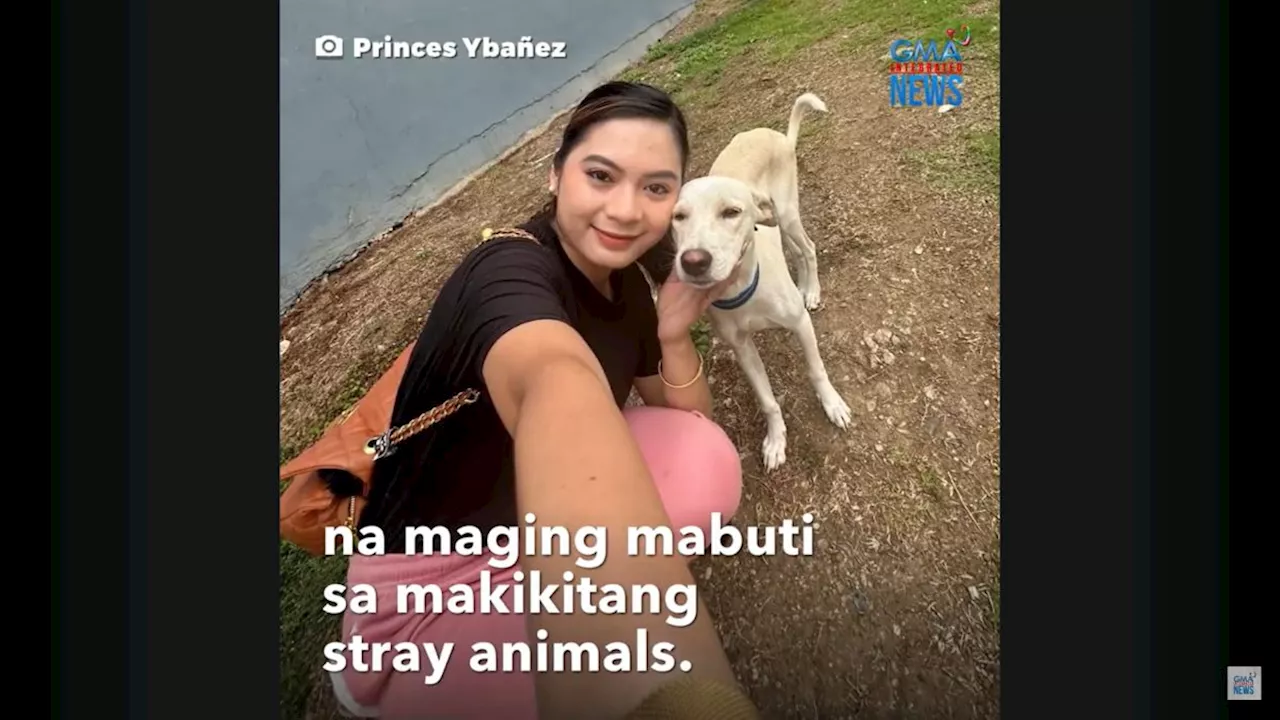 Babae, naantig sa paghabol sa kaniya ng asong naging kaibigan niya sa daan