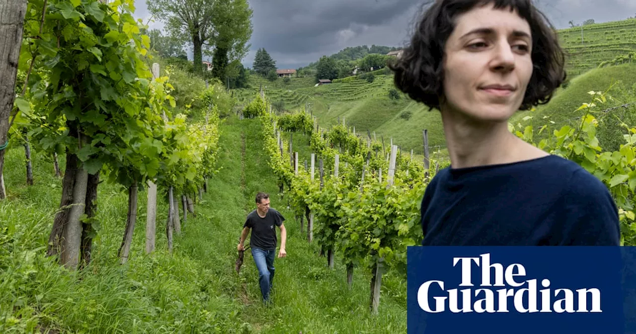 From parched earth to landslides: crisis in the prosecco hills of Italy