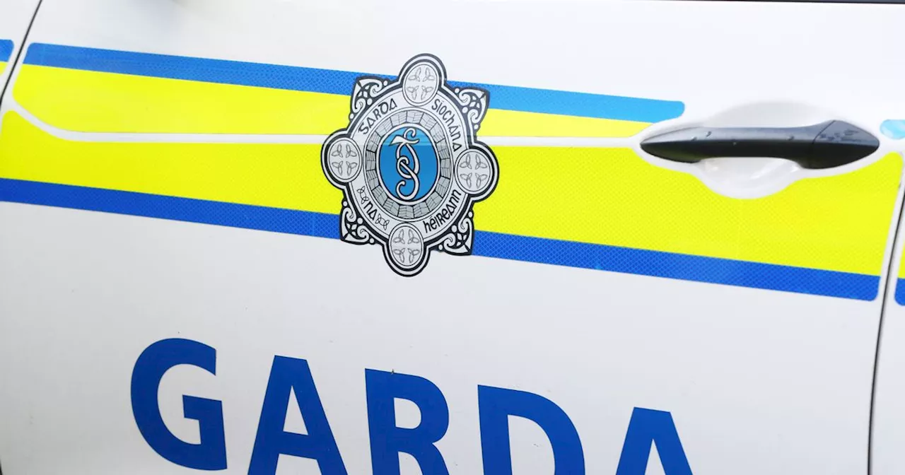 Gardai 'found blocks of heroin hidden under paddling pool and in toy room'