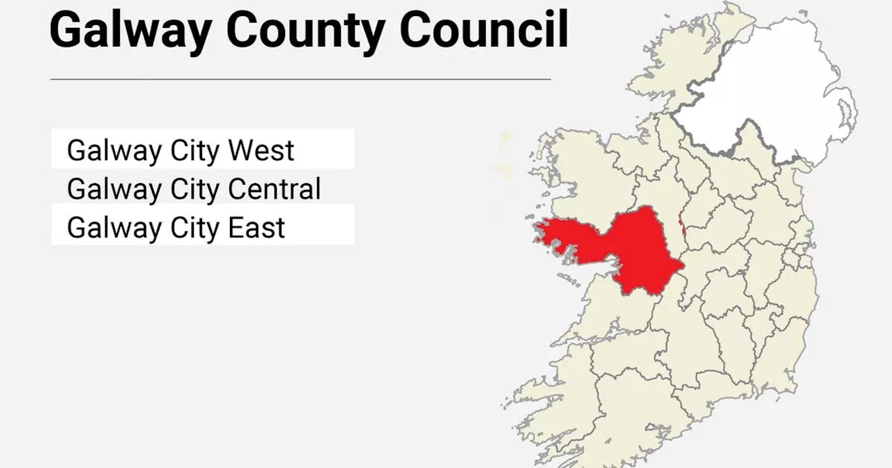 Local Elections: Galway County Council candidate list