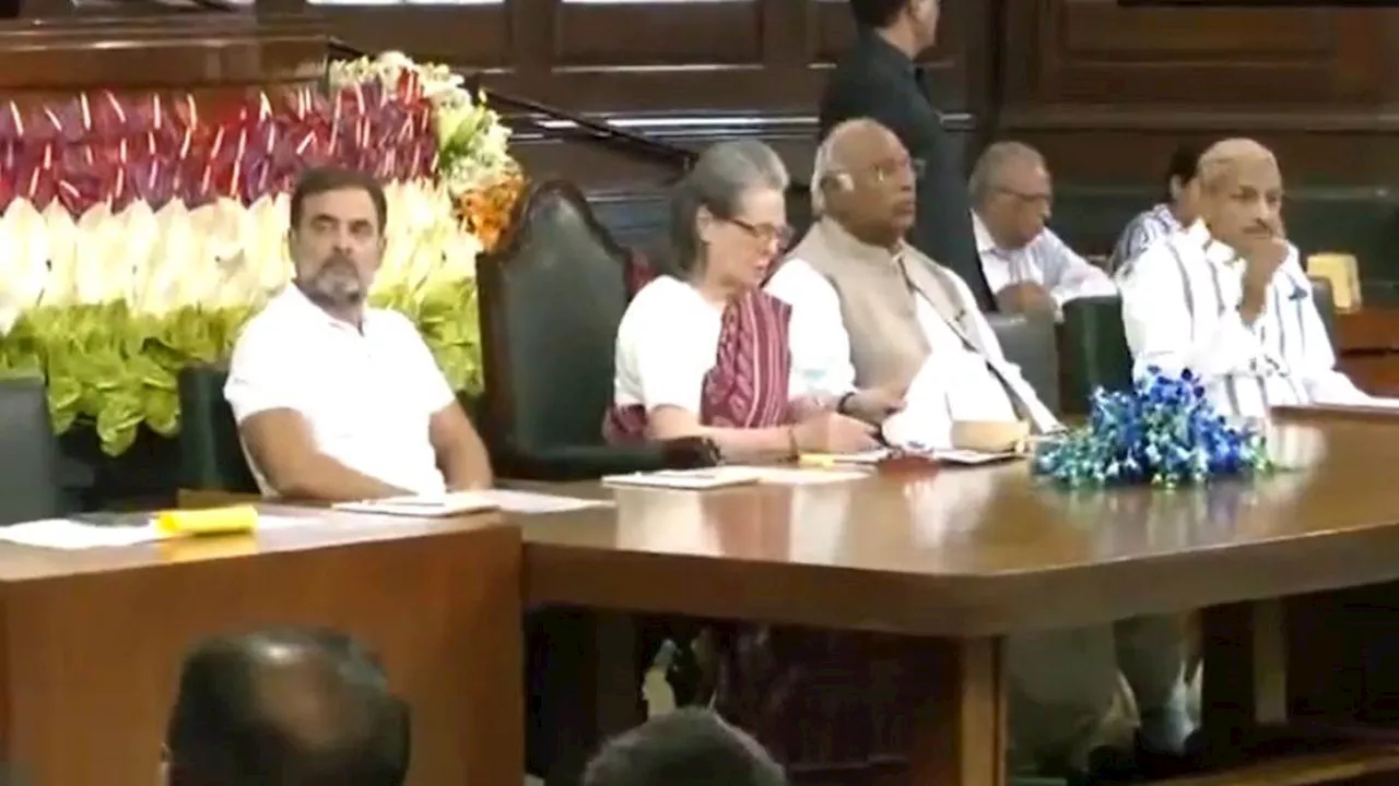 Congress Parliamentary Meeting Live: कांग्रेस संसदीय दल की नेता चुनी गईं सोनिया गांधी, औपचारिक एलान बाकी