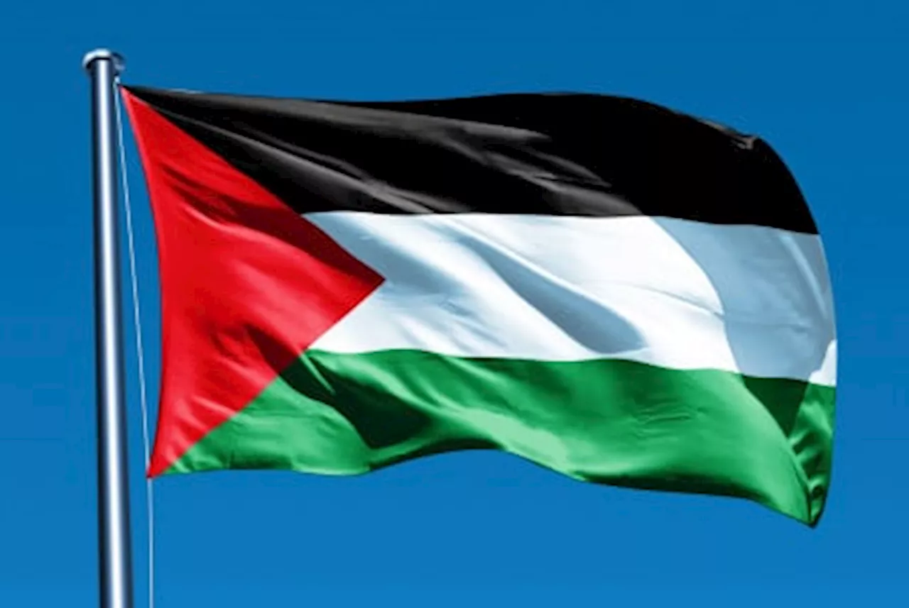 Hasil Survei: Mayoritas Warga Jerman Tak Mendukung Palestina Merdeka