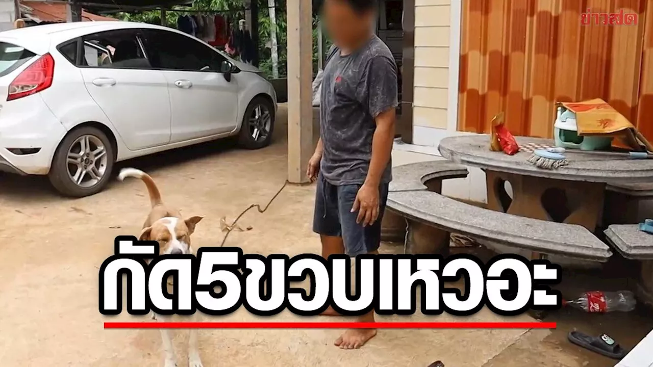 ข่าวสด