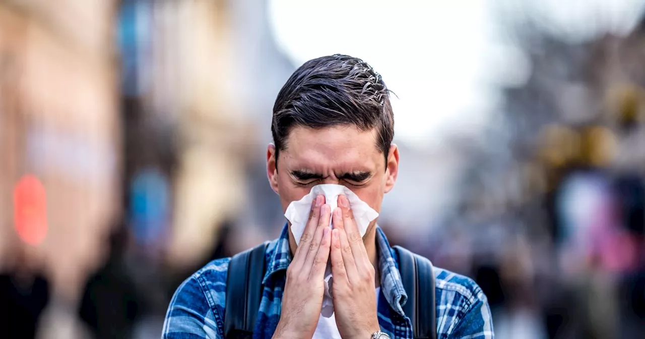 Pollen bomb £5 remedy to help hay fever sufferers sleep