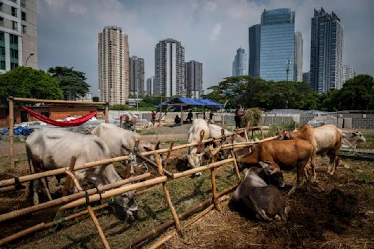 Tips Perayaan Idul Adha di Jakarta, Bisa Liburan sambil Sedekah