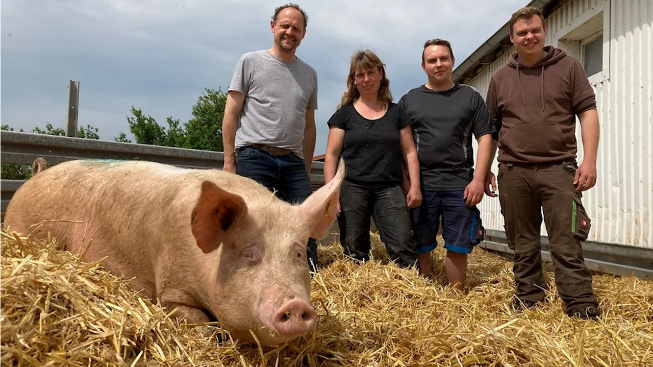 Landwirtschaft erleben: Tag des offenen Hofes in MV