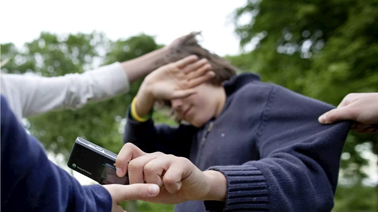 Medien-Scouts an Schulen im Kampf gegen Cybermobbing und Hass