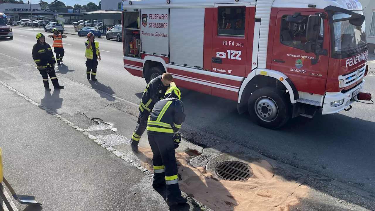 Rettung einer Katze und ausgelaufener Diesel hielten FF auf Trab