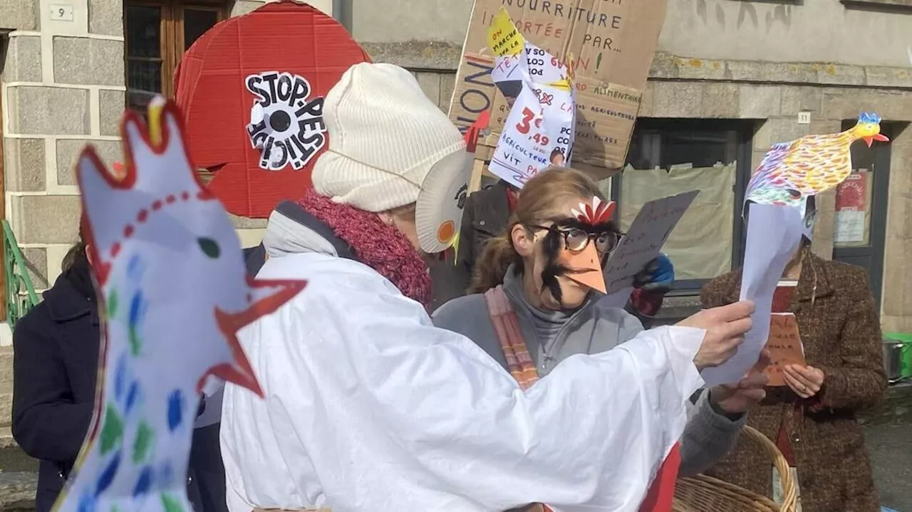 Dans les Côtes-d’Armor, « Sauve qui poules » attaque le poulailler