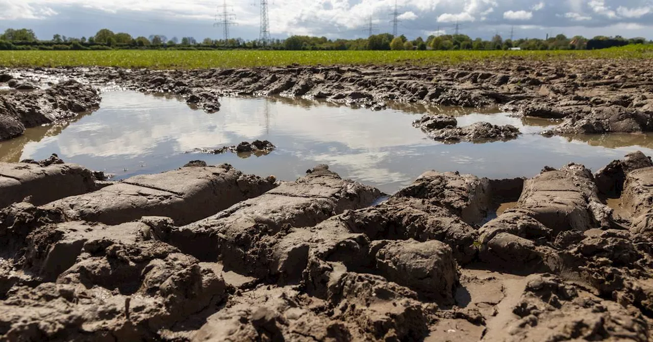 Landwirtschaft in Krefeld: Anbau verzögert sich wegen Regen