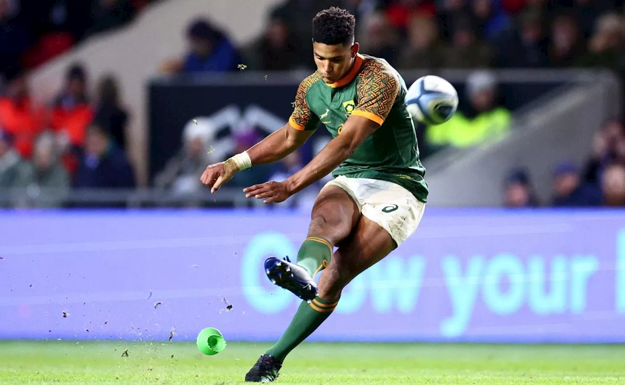 Boks call on newbies to tackle Wales