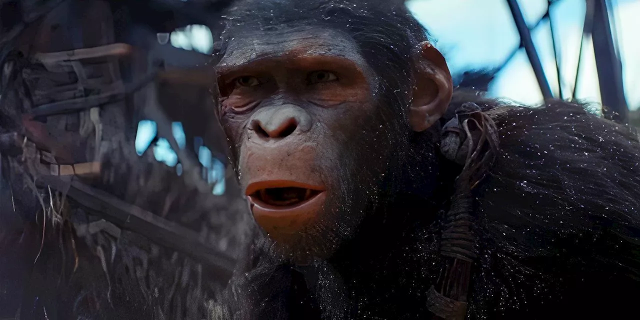 Planet Of The Apes Domestic Box Office: Kingdom Becomes 4th Best Movie In Franchise Update