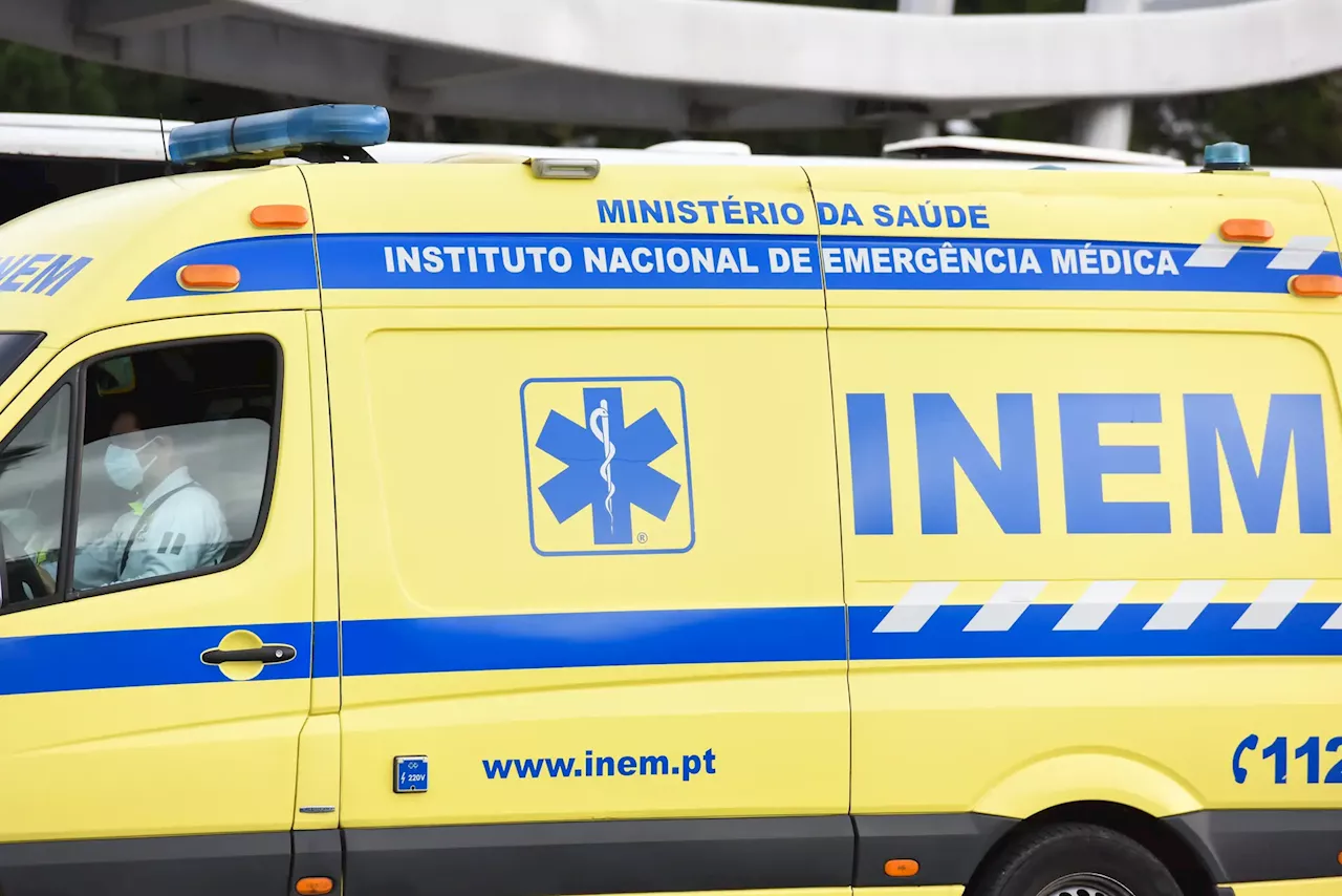 Homem morre atingido por árvore em Viana do Castelo