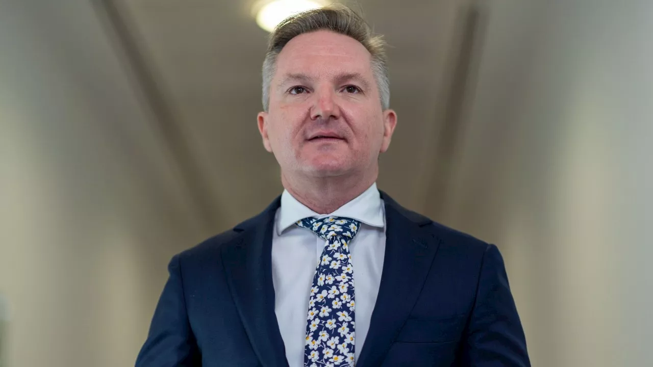 ‘No clue’: Bowen slams Dutton over energy policy