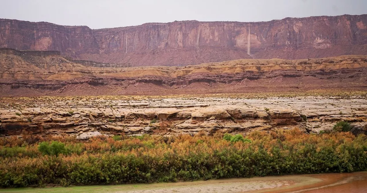 Crews search for woman after hikers find phone footage of her drifting away in river