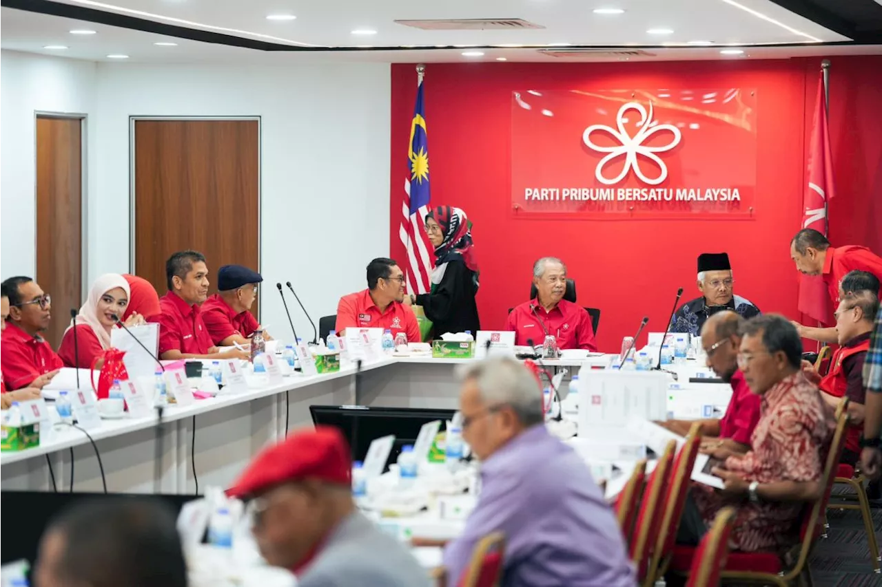 Bersatu has decided on fate of seven 'rebels', says Hamzah