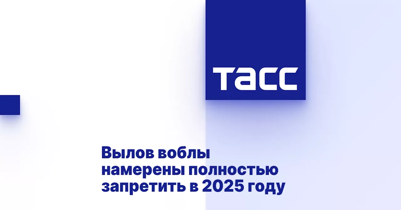 Вылов воблы намерены полностью запретить в 2025 году