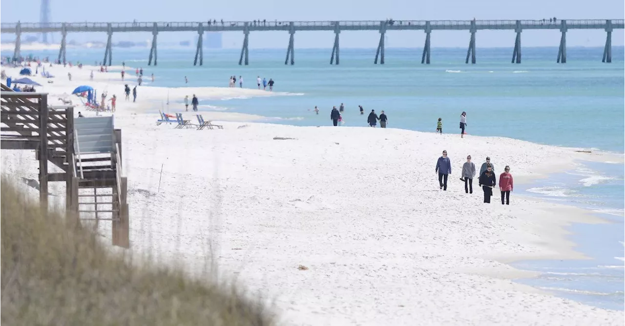 Florida Authorities Warn of Shark Dangers Along Gulf Coast After 3 People Are Attacked