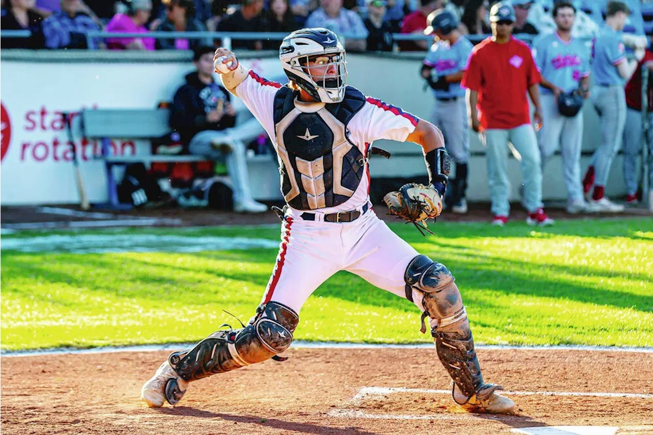Anderson catching on early for HarbourCats
