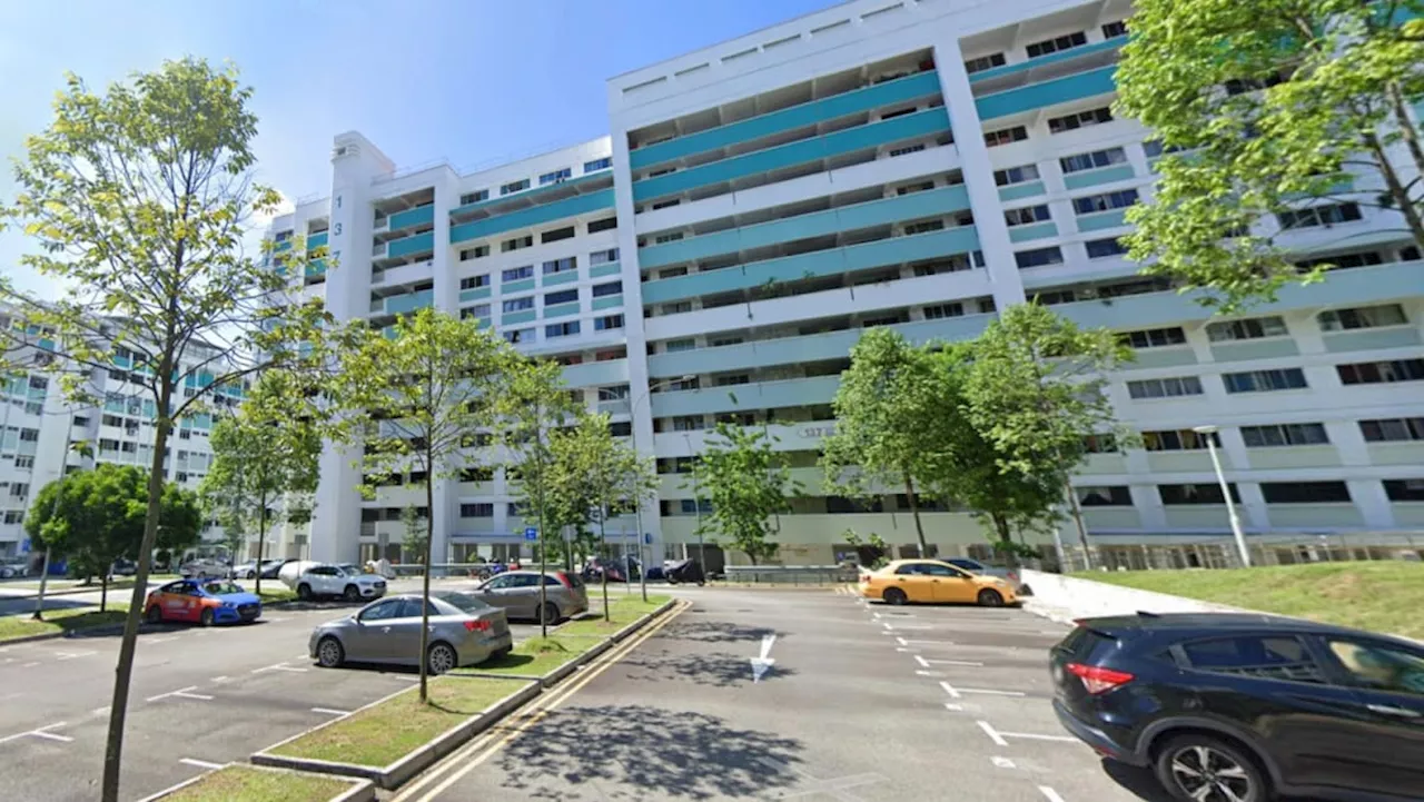 Man, 88, arrested for murder of elderly woman in Bukit Panjang flat