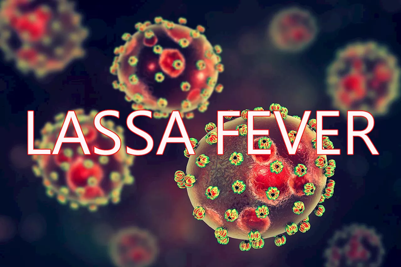 Lassa Fever cases rise significantly with 162 deaths in 2024