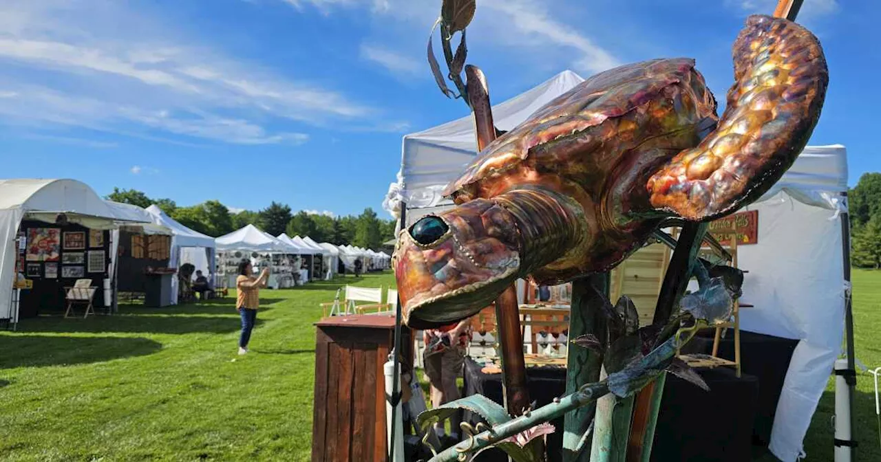 Valley Art Center holds 40th annual Art by the Falls festival in Chagrin Falls