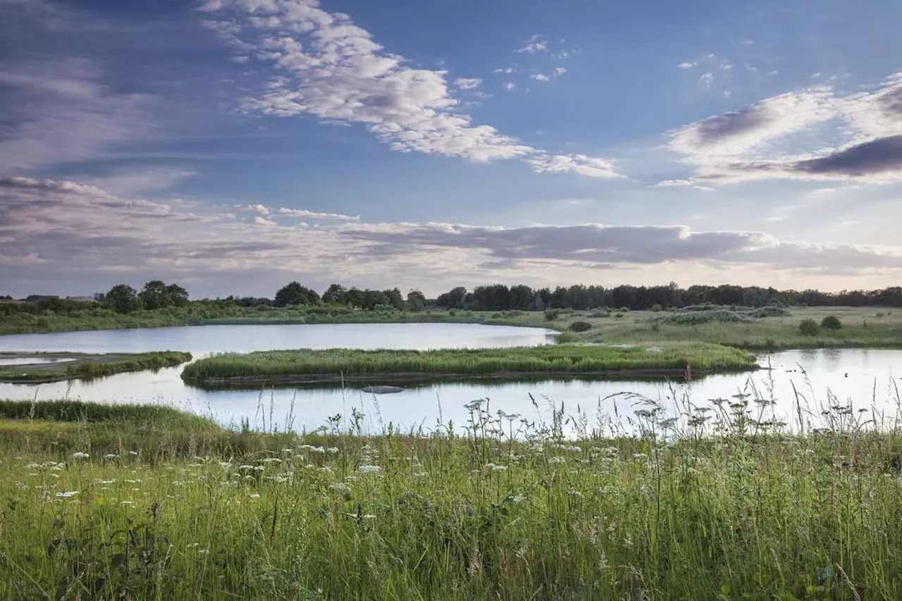 How you can help save the 3,000 species which are at risk of being lost in Yorkshire