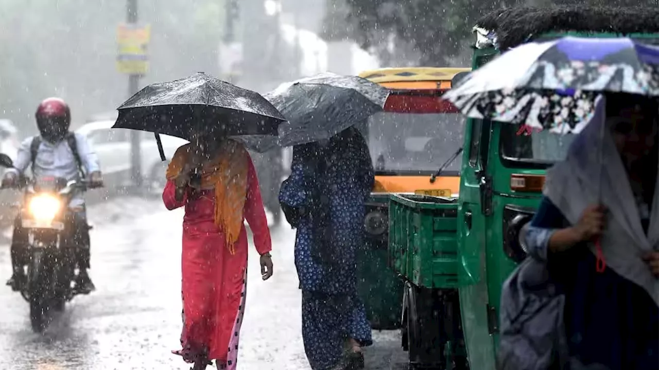 Rain Alert: ರಾಜ್ಯದಲ್ಲಿ ಭಾರೀ ಮಳೆ ಸಾಧ್ಯತೆ, 7 ಜಿಲ್ಲೆಗೆ ಆರೆಂಜ್‌ & 12 ಜಿಲ್ಲೆಗೆ ಯೆಲ್ಲೋ ಅಲರ್ಟ್‌!