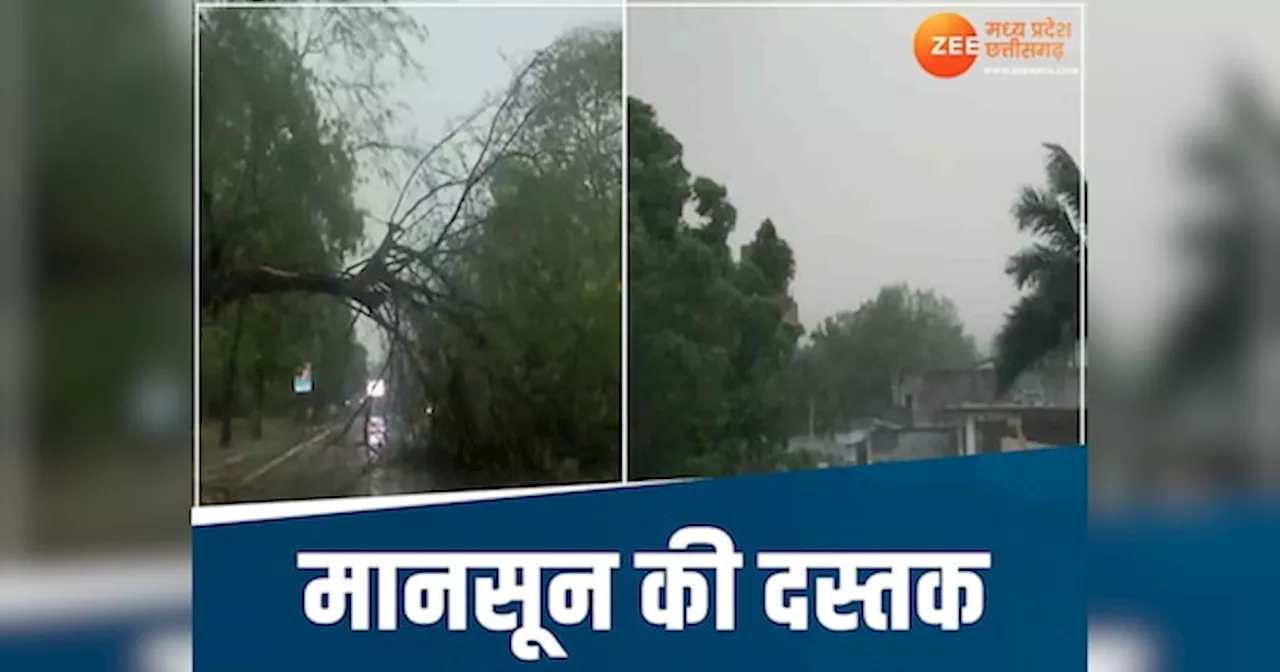 Weather Update: इस दिन मानसून लेगा छत्तीसगढ़ में एंट्री! प्रदेश भर में होगी झमाझम बारिश