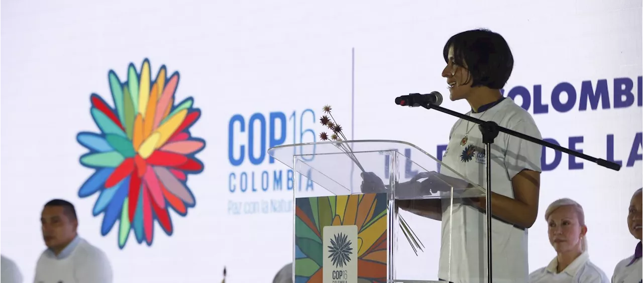 Colombia aprovechará COP16 para negociar protección a corredor marino del Pacífico