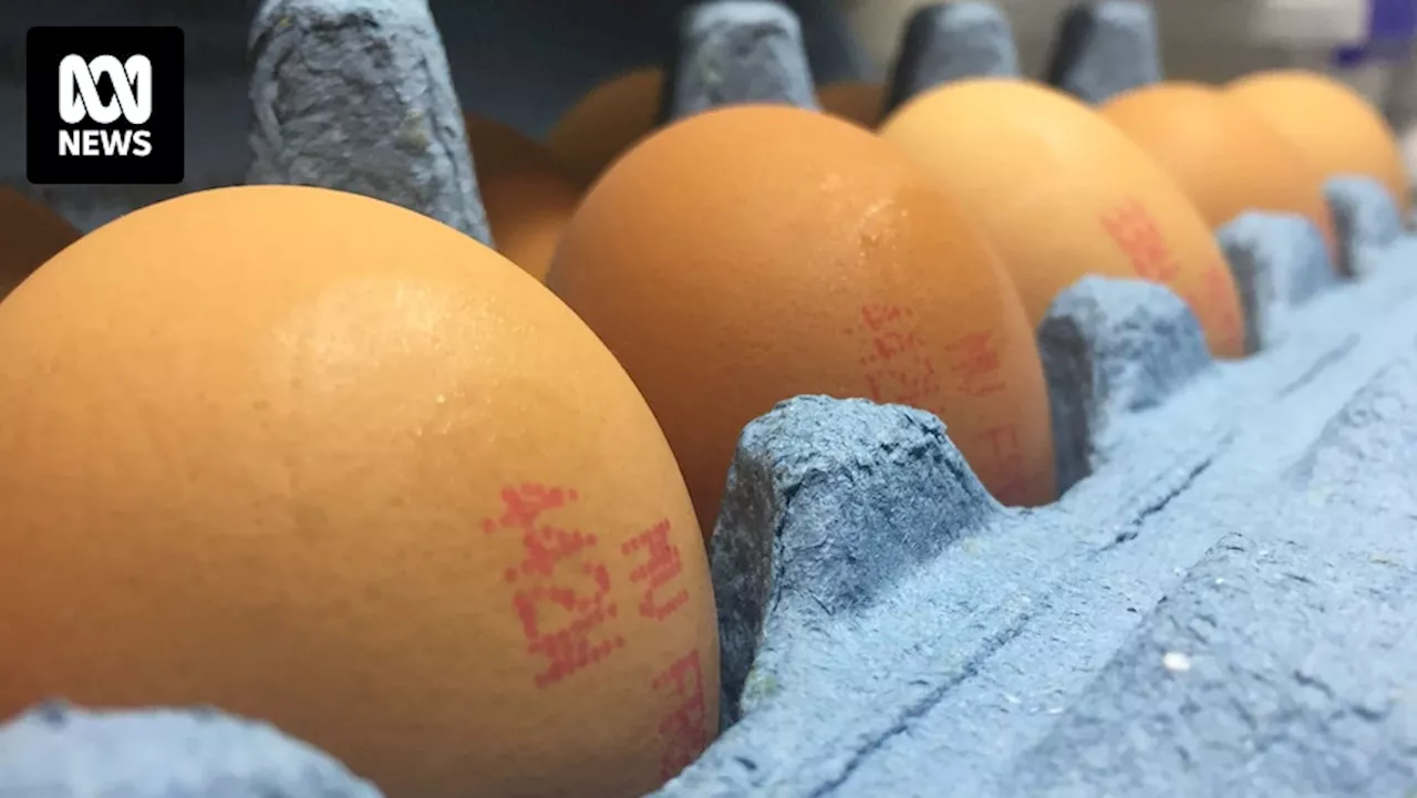 Coles limits egg purchases as bird flu spreads to a fifth Victorian farm