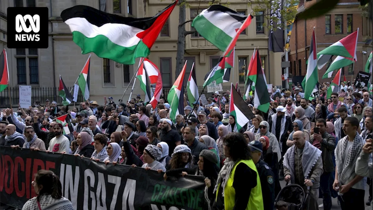 Foreign Minister Penny Wong repeats call for ceasefire as thousands rally following Israeli hostage rescue