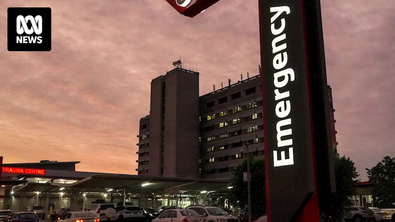 Health insiders say Royal Darwin Hospital in constant state of emergency, having 'normalised disaster'