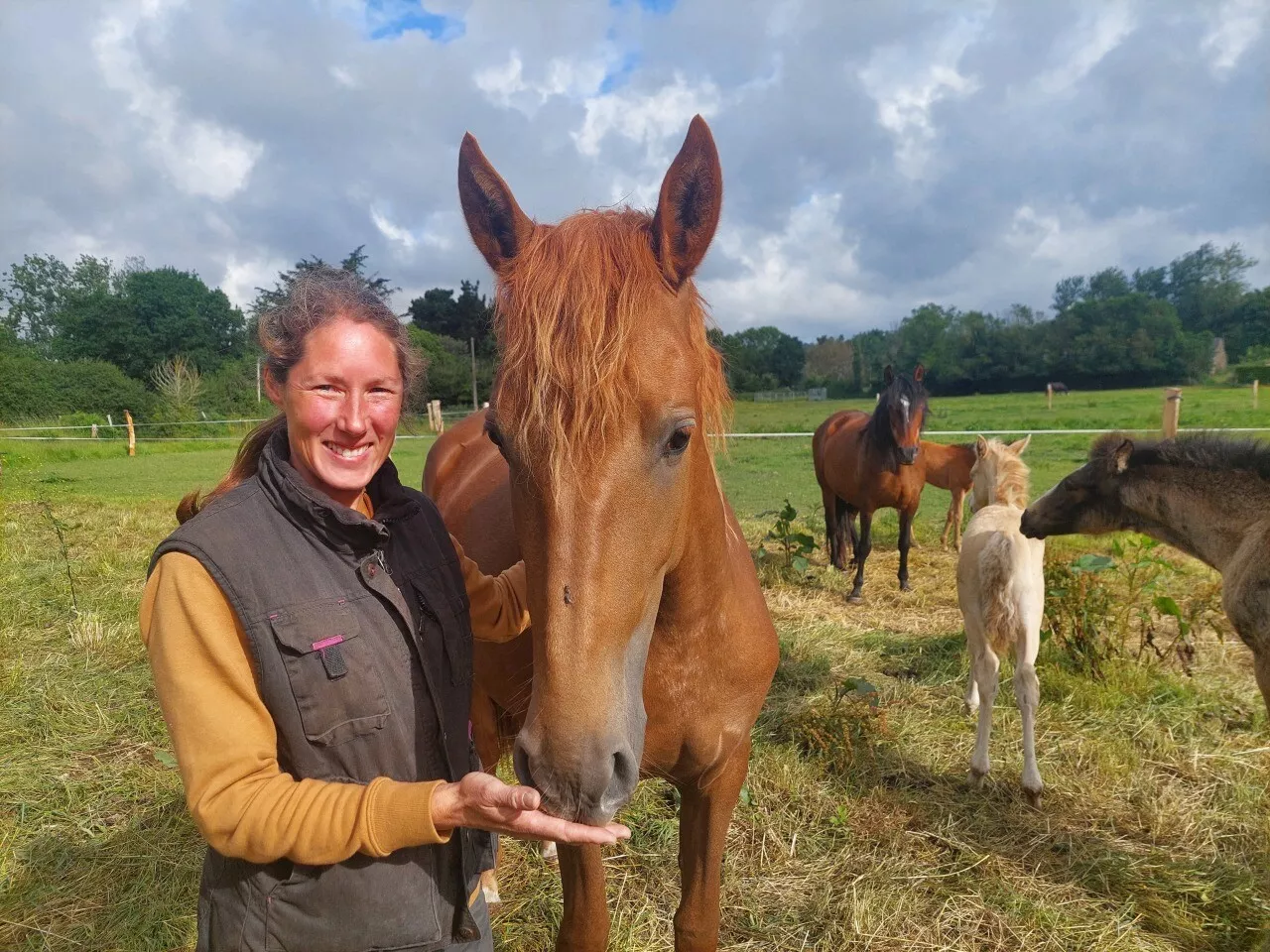 Côtes-d'Armor : Mélanie ouvre une grande pension pour chevaux à Plouha