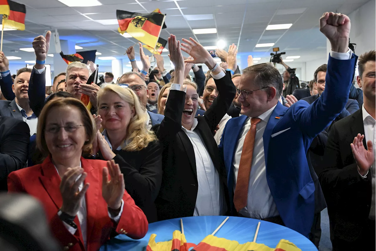 Europee, exit poll Germania: partito estrema destra Afd secondo più votato