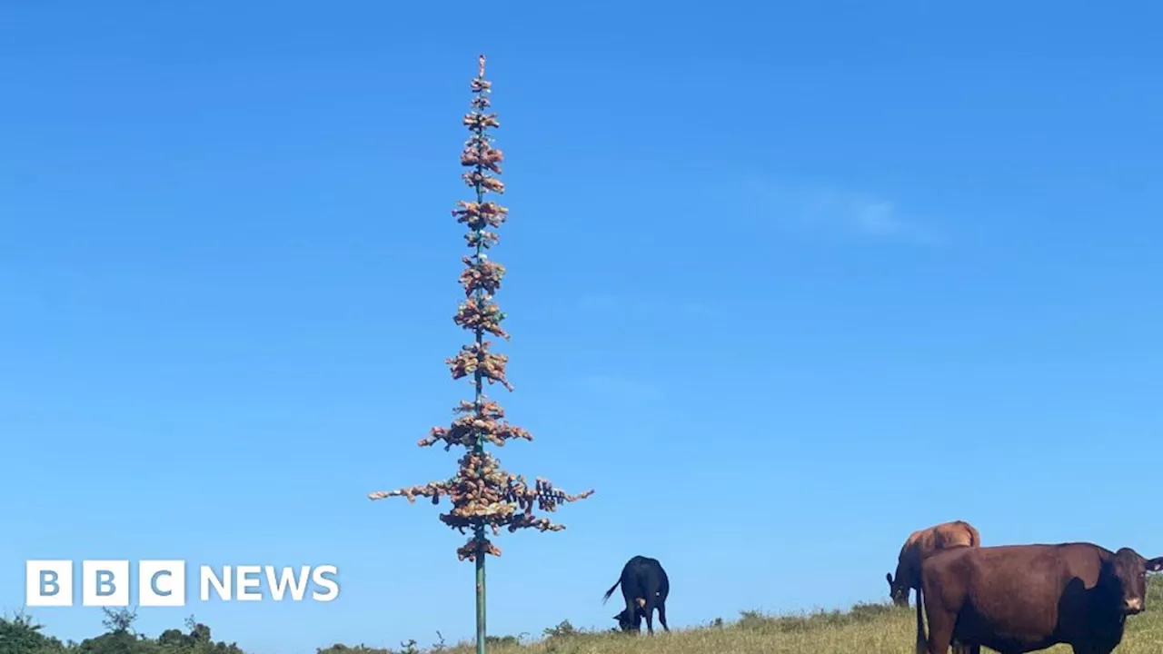 Purbeck sculptor makes tree from discarded plastic