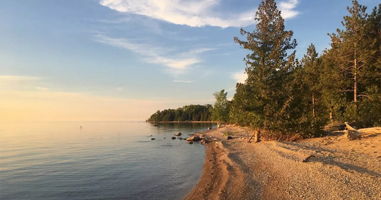 Ontario provincial park comes with beautiful beaches and a forest therapy trail