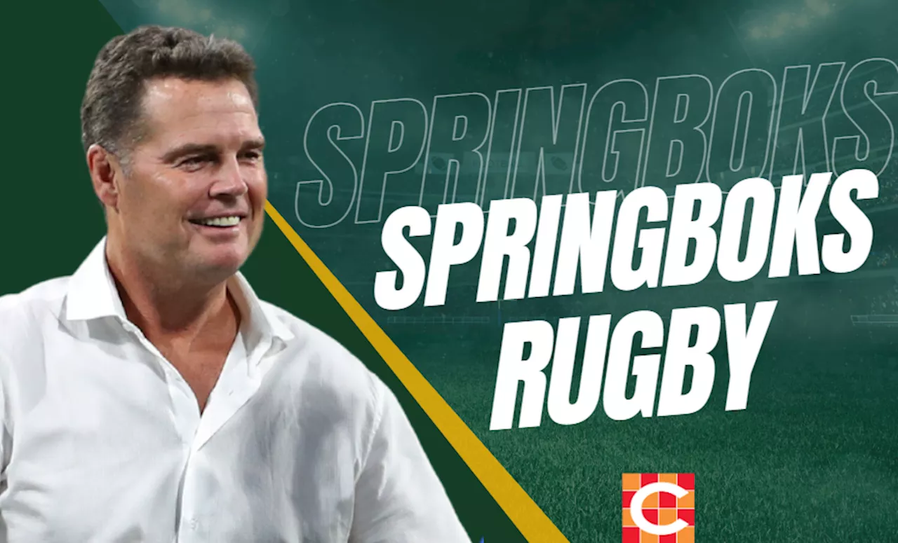 Springboks call on newbies to tackle Wales