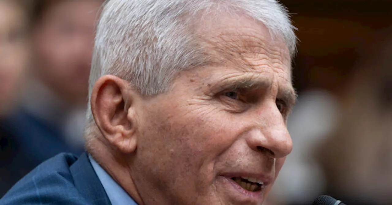 Dem Rep. Raskin: Dr. Fauci Is ‘Not a Partisan Actor, He’s Just a Scientist’