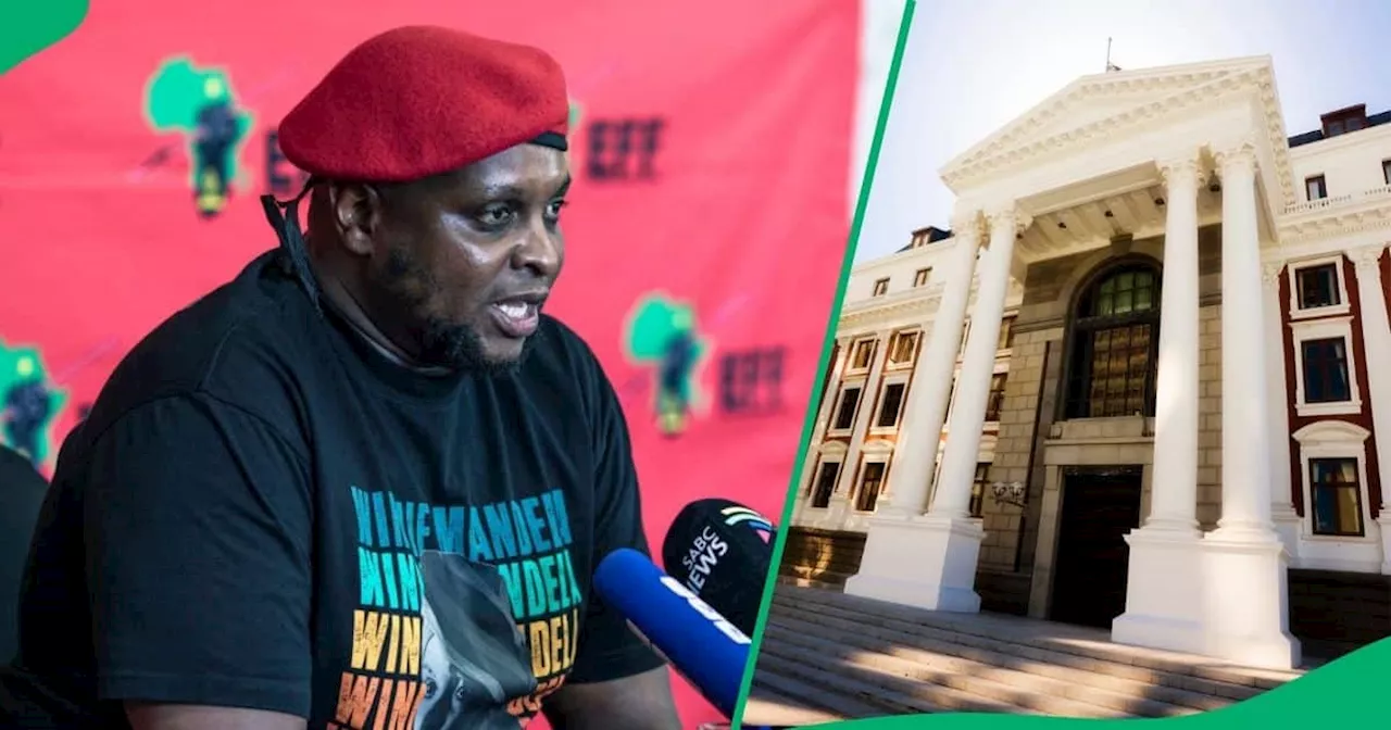 EFF Floyd Shivambu's Call: A Progressive Government for South Africa