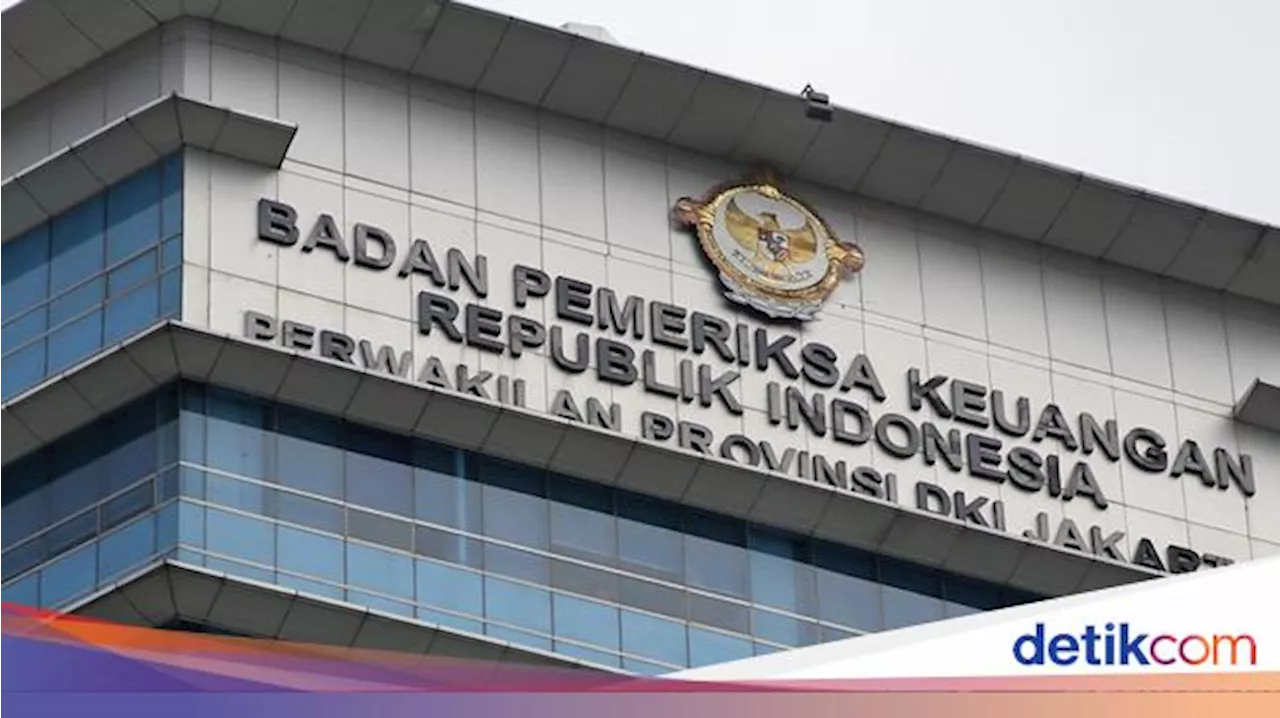 BPK Endus Penyimpangan Belanja Perjalanan Dinas PNS Rp 39,26 M, Ada yang Fiktif!