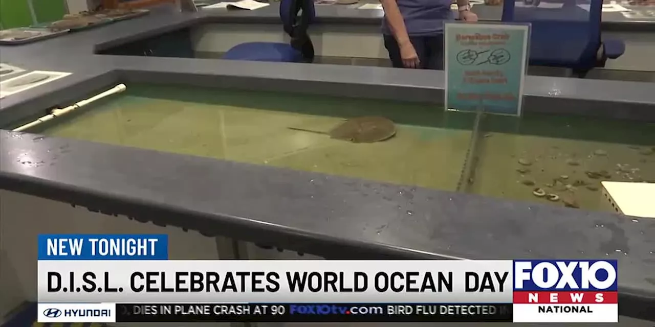 Dauphin Island Sea Lab celebrates World Ocean Day