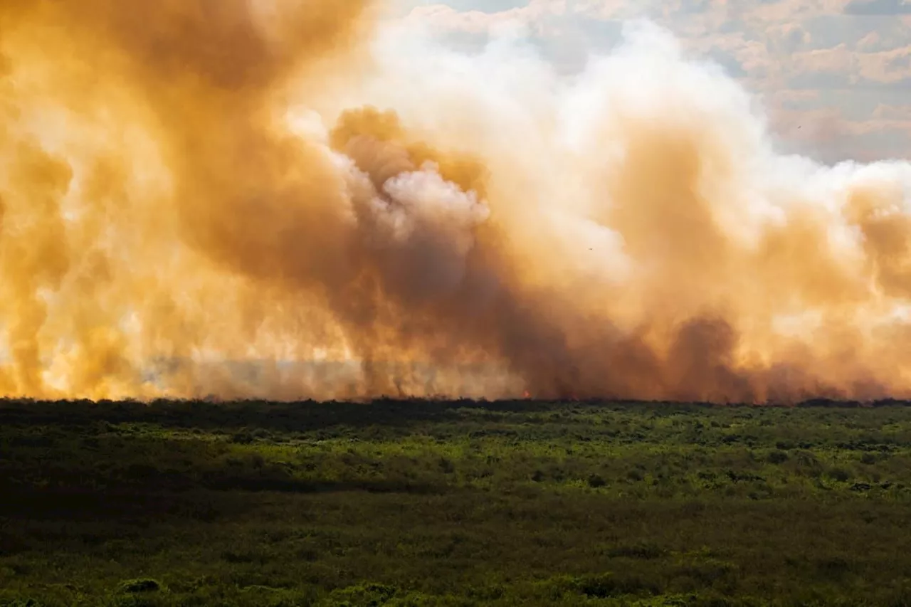 Pantanal: incêndios disparam mais de 1000% e bacia do rio Paraguai tem seca recorde