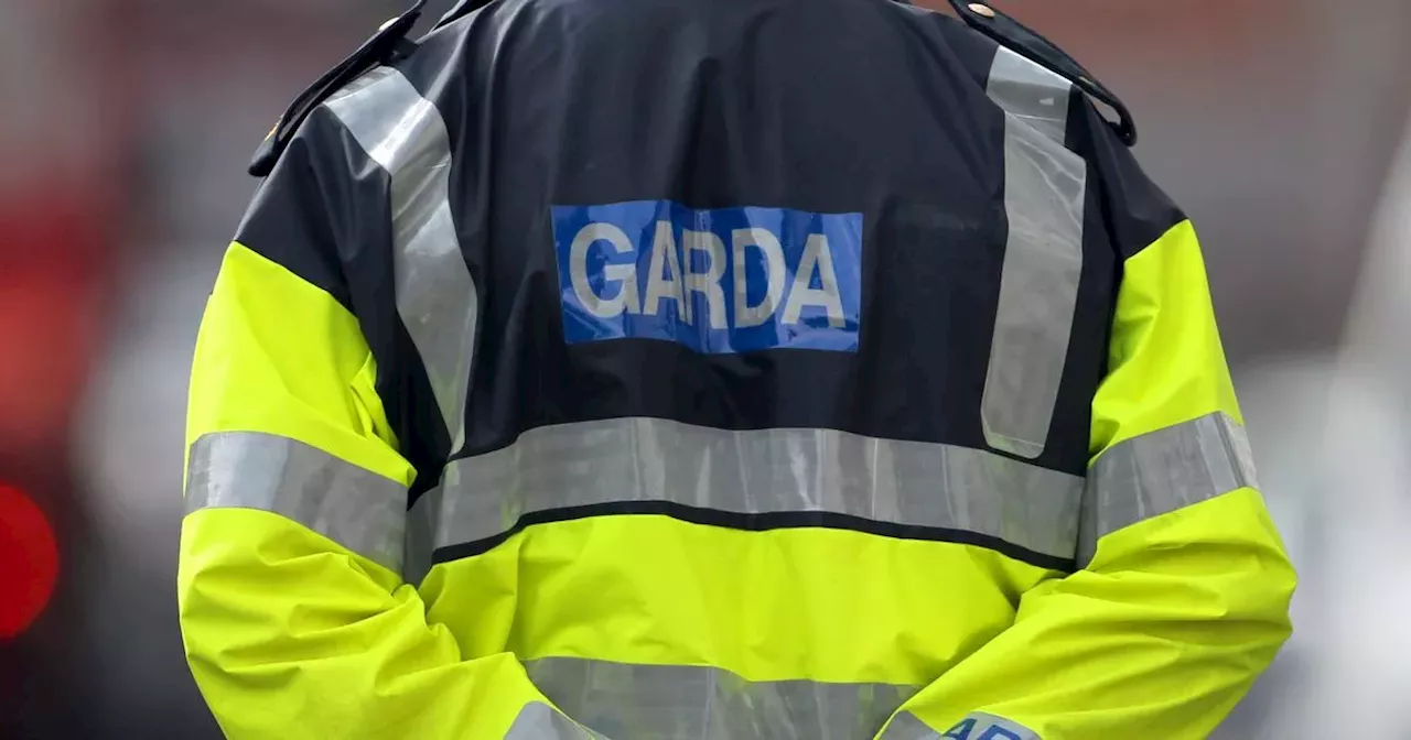 Finglas murder LIVE updates as gardai launch investigation into stabbing death