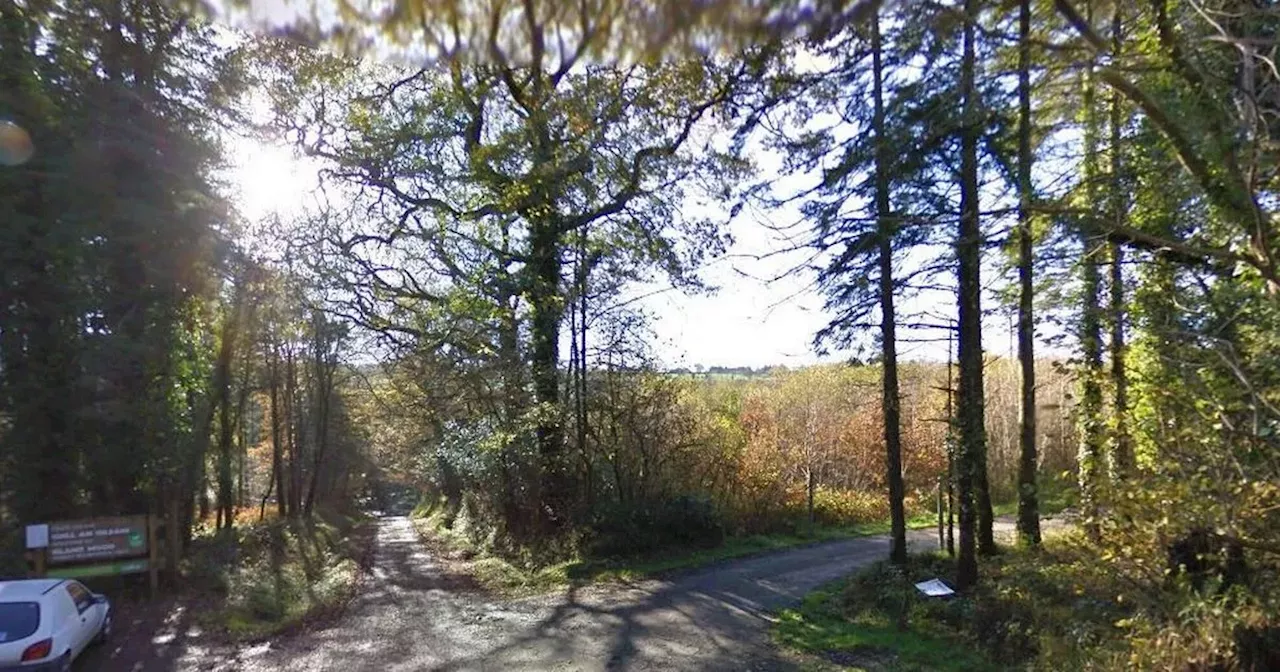 Gardai ask for public's help after woman assaulted while walking in forest